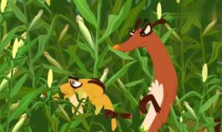 小鸡不好惹之咸蛋寺共几集 小鸡不好惹主题曲