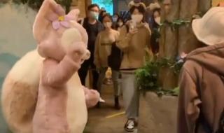 玲娜贝儿被游客拍头 玲娜贝儿被游客拍头