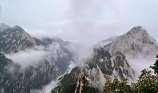 众鸟高飞尽写的是春天的景象吗 众鸟高飞尽的下一句